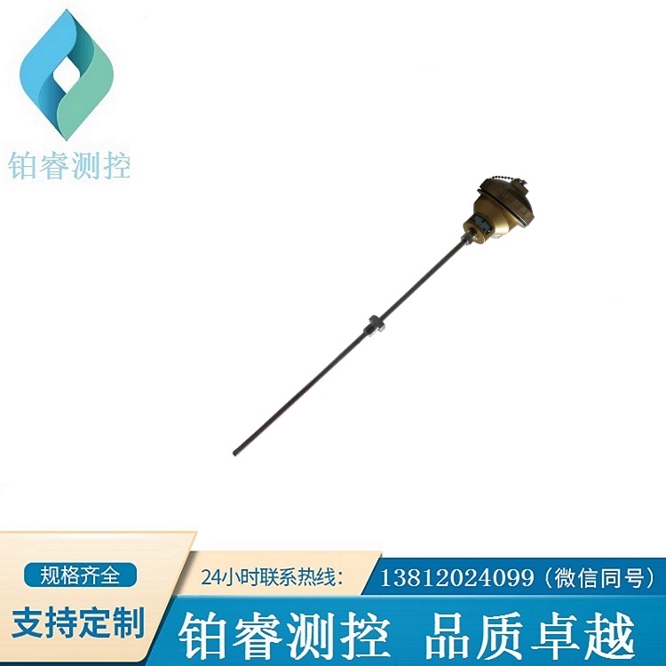 防腐铠装热电偶（钛保护管）-铂睿测控