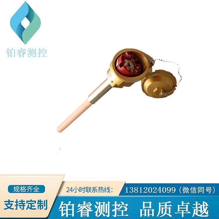带温度变送器输出铂铑热电偶-铂睿测控