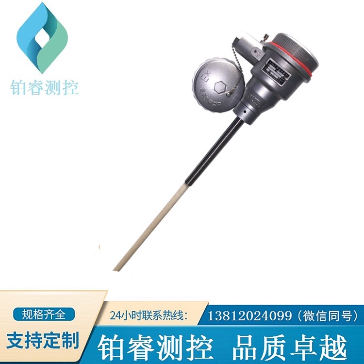 防爆型铂铑热电偶-铂睿测控