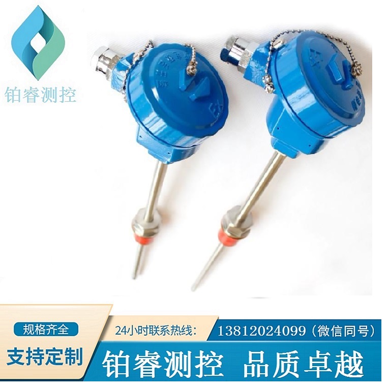 铠装防爆热电阻WZPK-24S-铂睿测控