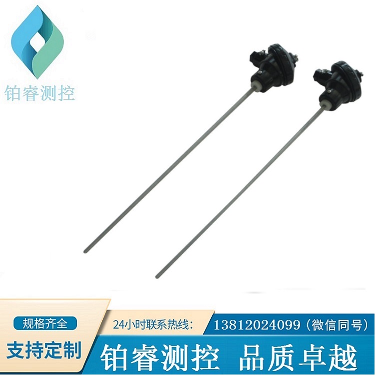 防腐热电阻/钛保护管-铂睿测控