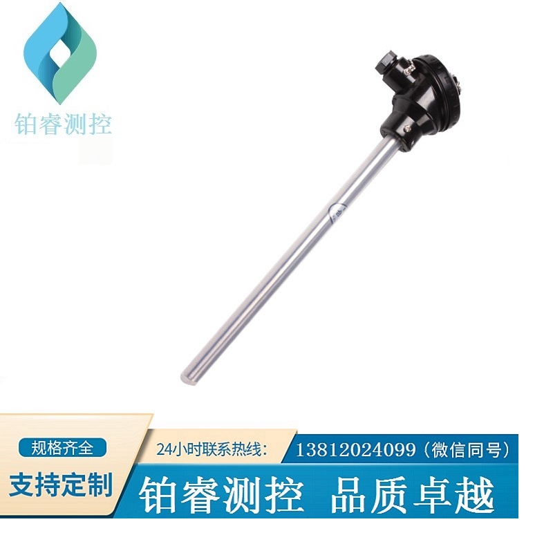 四氟防腐热电阻-铂睿测控